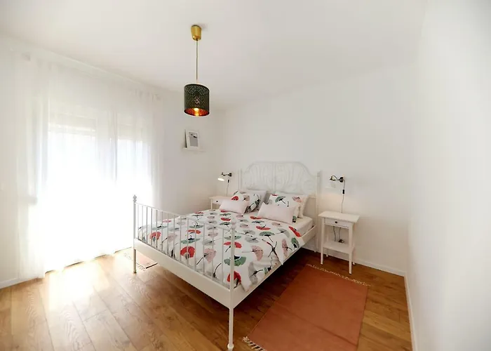 Meri-puntamika * Задар